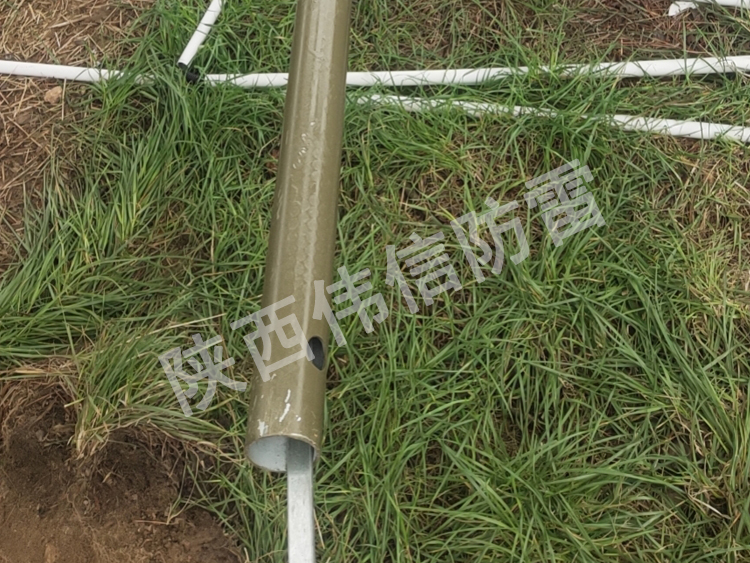 西安翠華山景區(qū)古樹避雷針安裝現場3